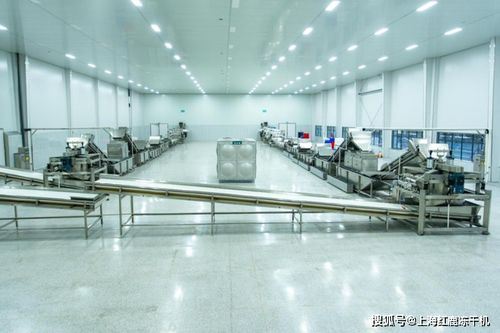 食品凍干技術為鄉村振興賦新能,凍干設備生產線廠家